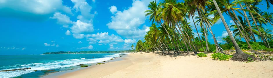 BookTaxi Sri Lanka delivers high quality premium sevices in Sri Lanka